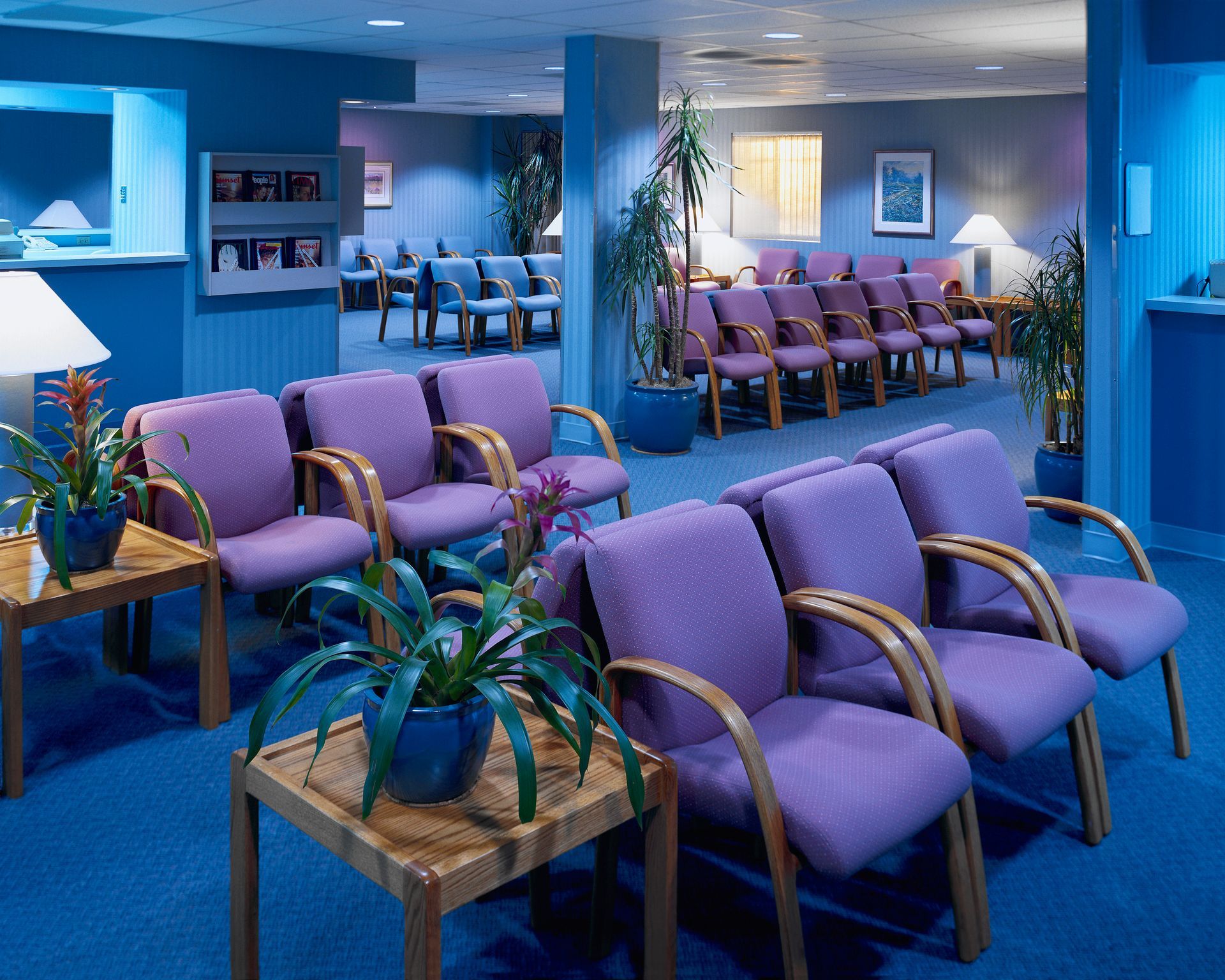 A waiting room with rows of purple chairs, plants, and a blue carpet.
