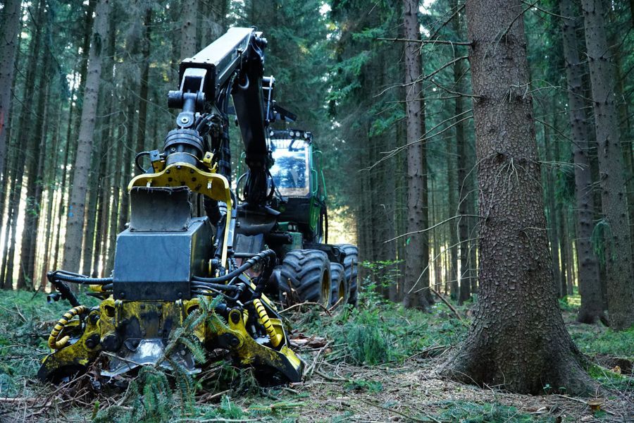 Ein Traktor fällt in einem Wald Bäume.