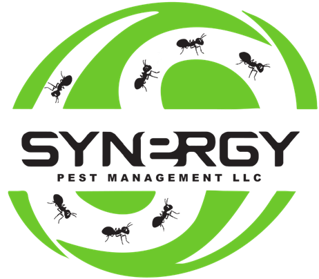 Synergy Pest Management