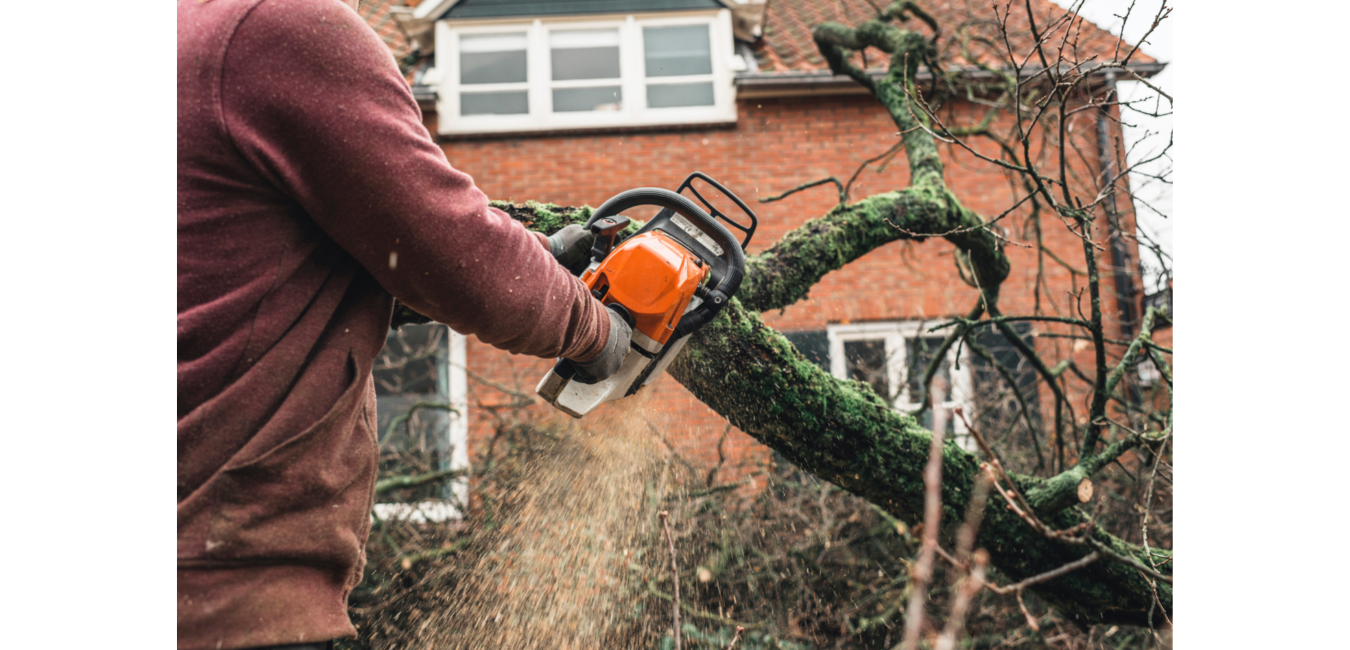 Tree Removal Insurance Claim