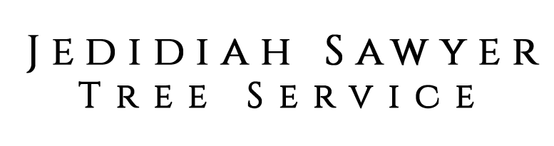 Tree Cutting & Pruning Services in Singapore | Green Garden