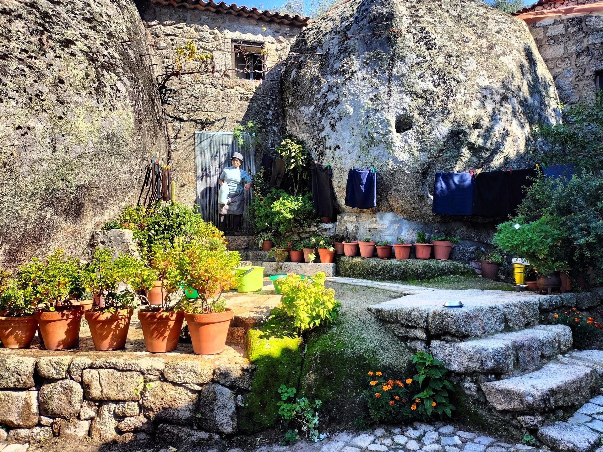 Monsanto Knights Templar Game Of Thrones House of the Dragon Travelers Tours The Amity Family