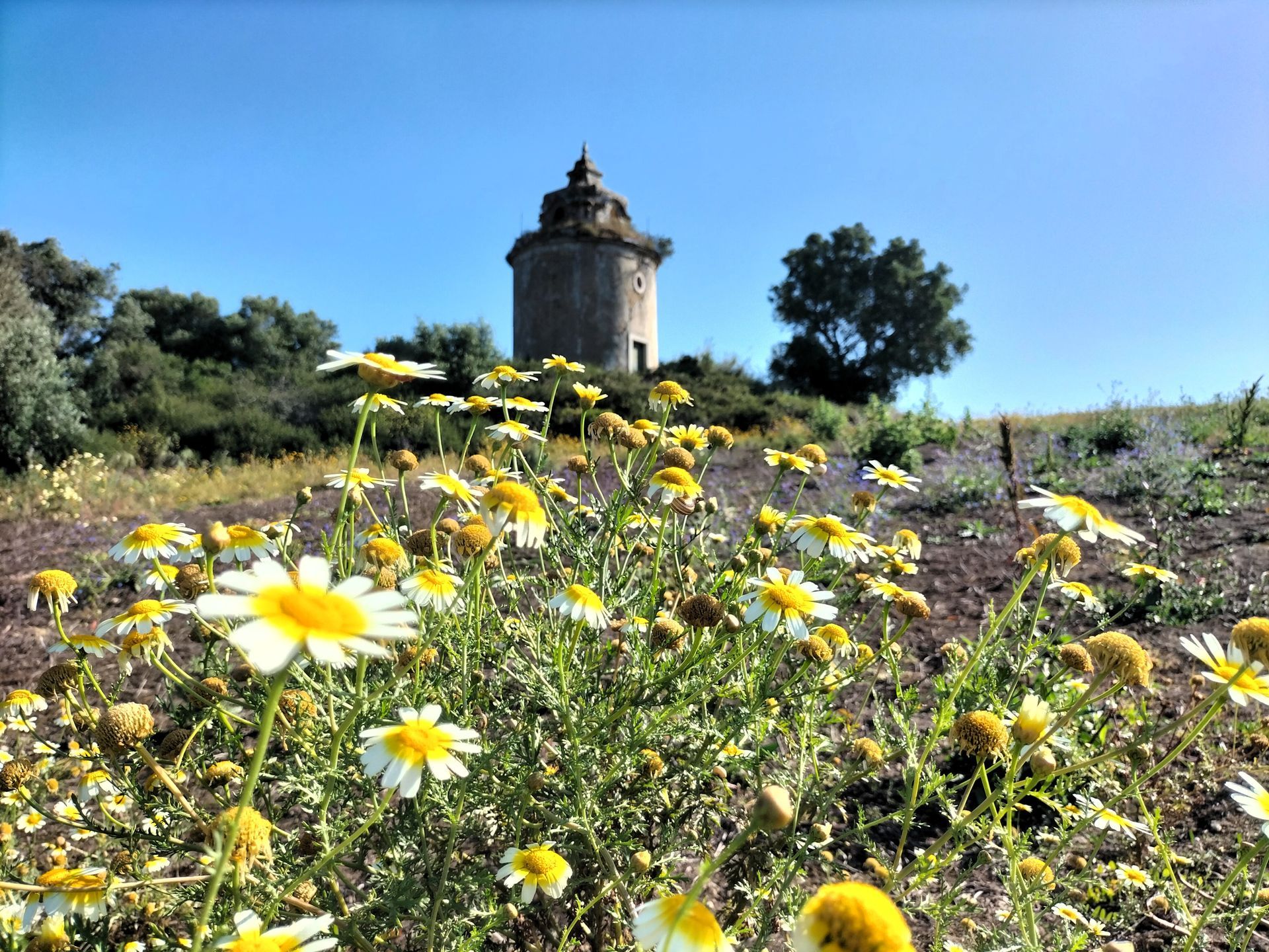 The-Amity-Family-Tours-And-Activities-Fátima-Shrine-Spiritual-Catholic-Basilica-Landscape