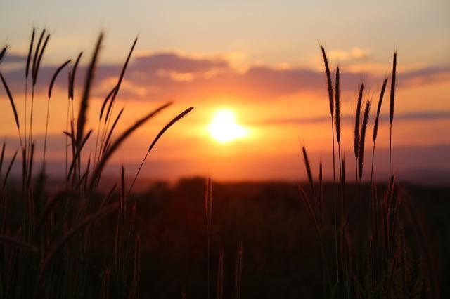 cremation services in Ellijay GA