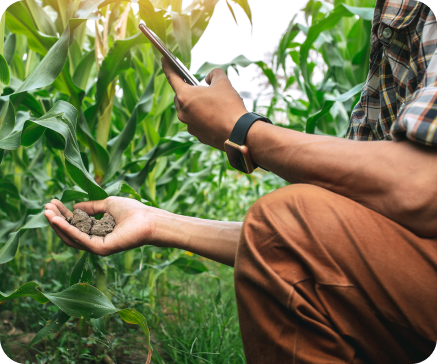 Farmer examining soil in a field, using a smartphone, wearing brown pants and a plaid shirt. Farmer examining soil in a field, using a smartphone, wearing brown pants and a plaid shirt.