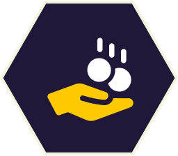 Yellow hand catching falling white coins, in a dark blue hexagon.