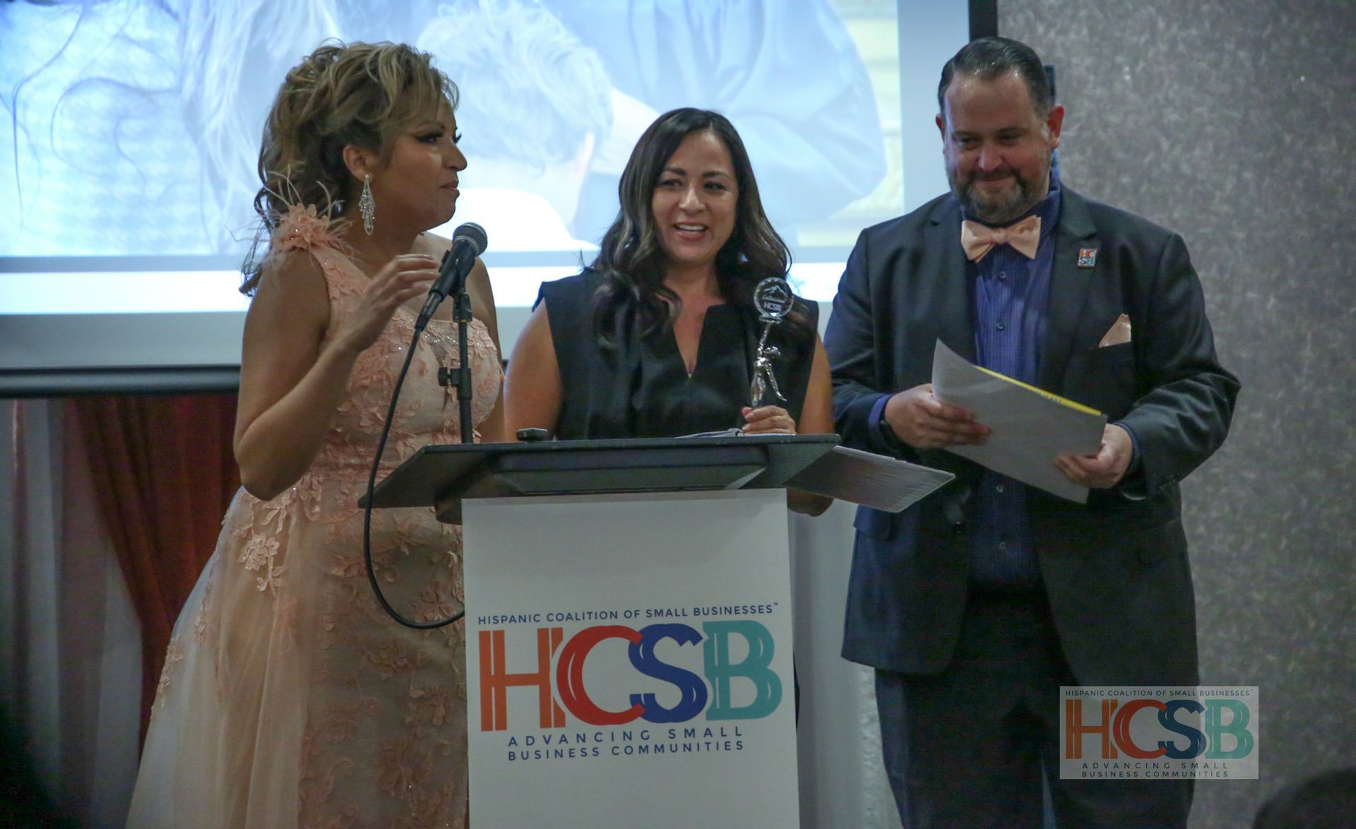 A woman is giving a speech at a podium that says hcsb