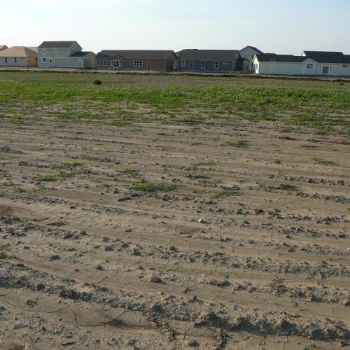 A dirt field with a few houses in the background