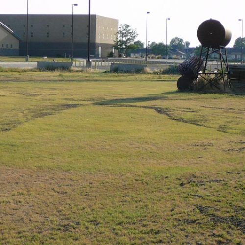 A wheelbarrow is sitting in the middle of a grassy field