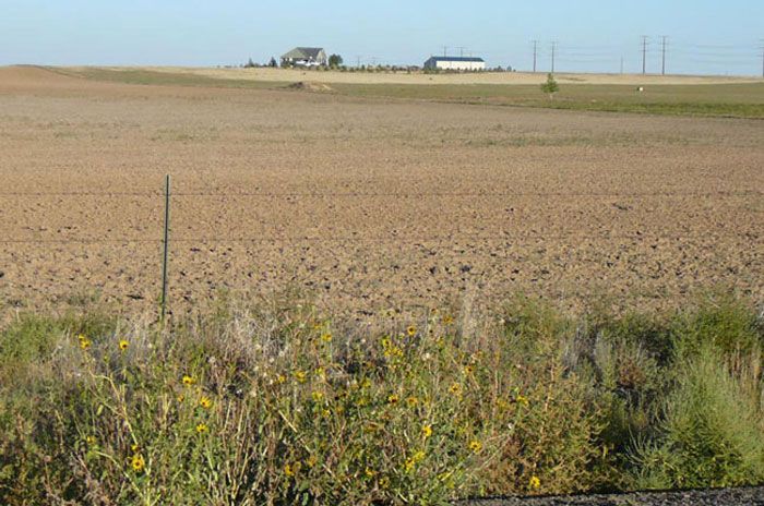 A field with a house in the distance and a fence in the foreground