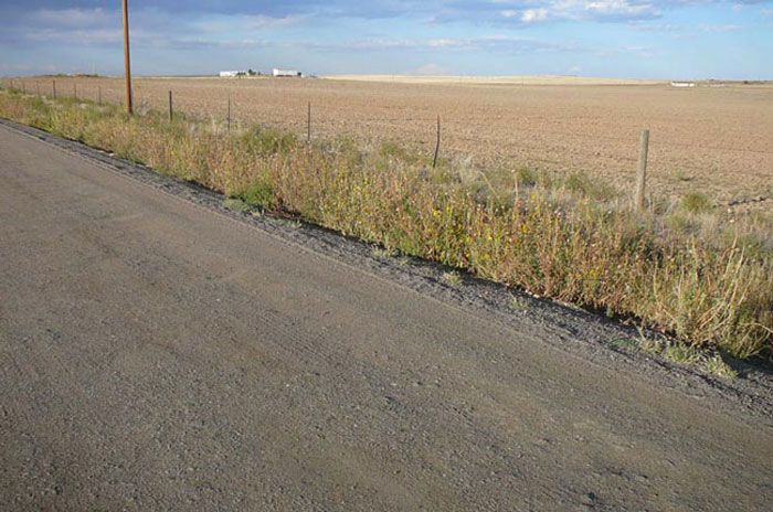 A road going through a field with a fence along the side of it.