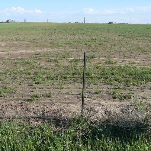 A fence post in the middle of a grassy field