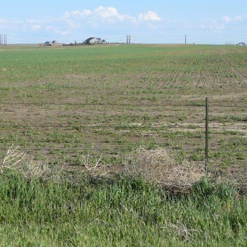 A large grassy field with a fence in the foreground