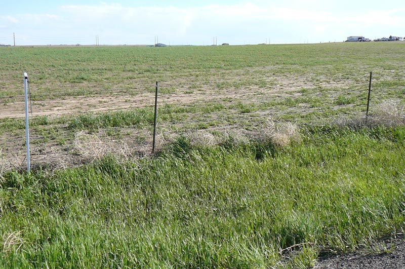 There is a fence in the middle of a grassy field.