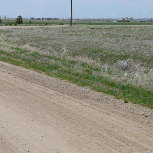 A dirt road going through a grassy field