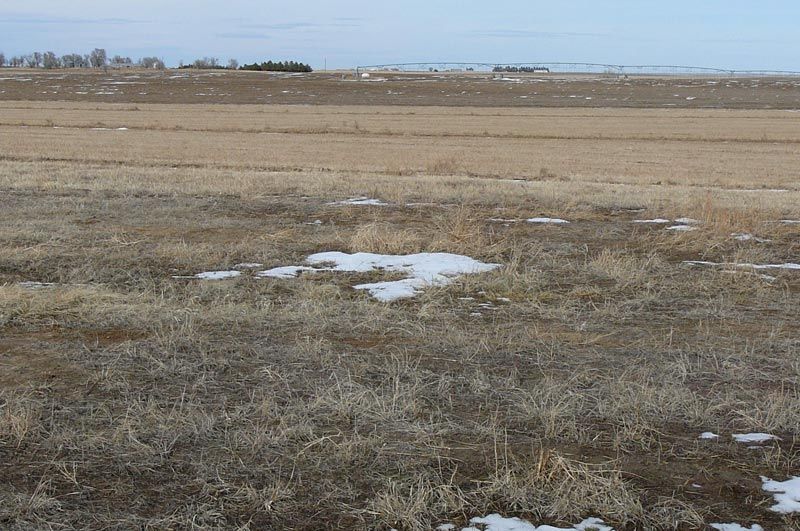 There is snow on the ground in the middle of a field.