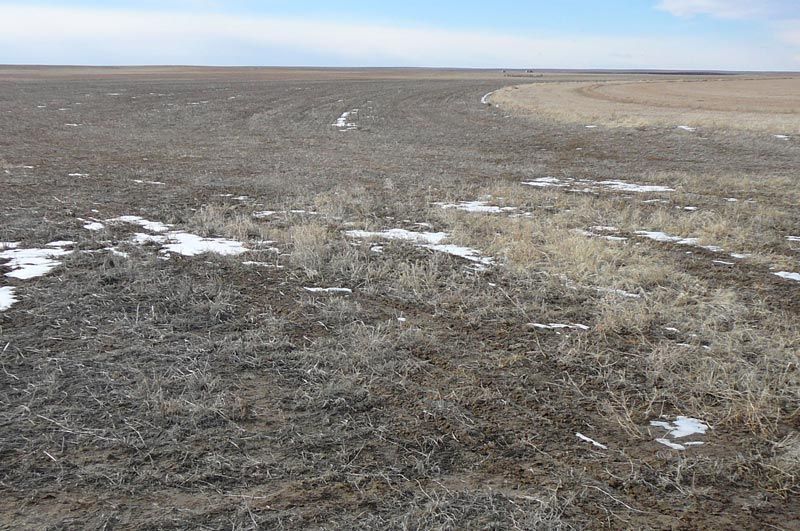 A large dry grass field with snow on the ground.