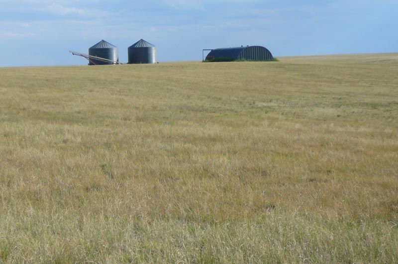 Three silos are in the middle of a grassy field.