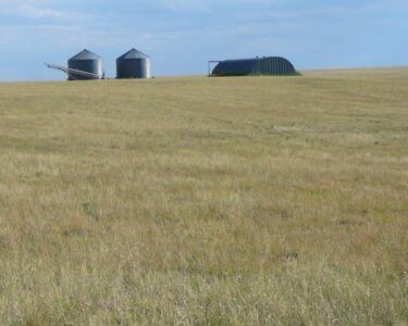 Vast grassy field under a cloudy sky.