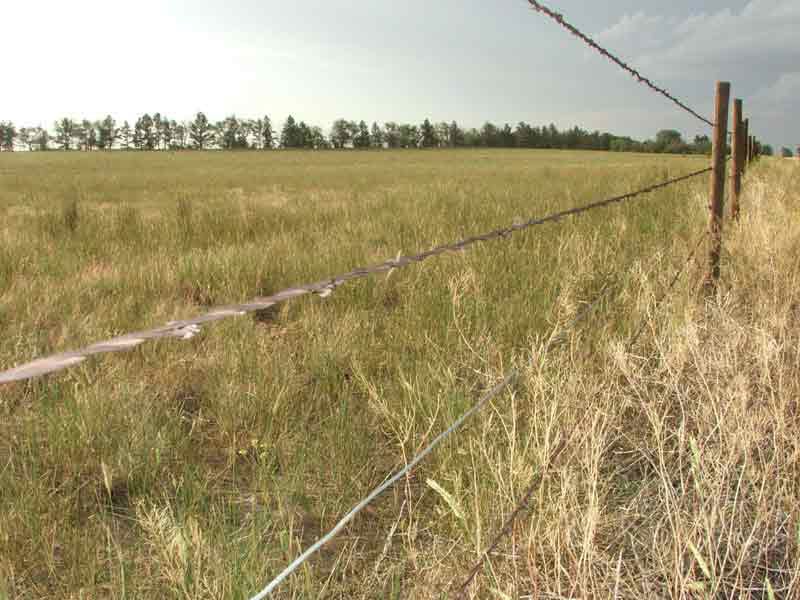 A wire fence surrounds a grassy field with trees in the background