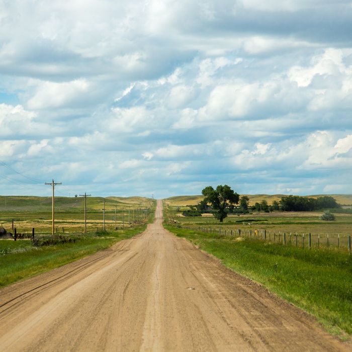 A dirt road going through a grassy field on a cloudy day