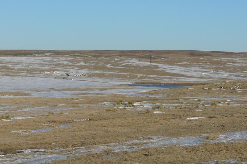 A field of dry grass with a small pond in the middle