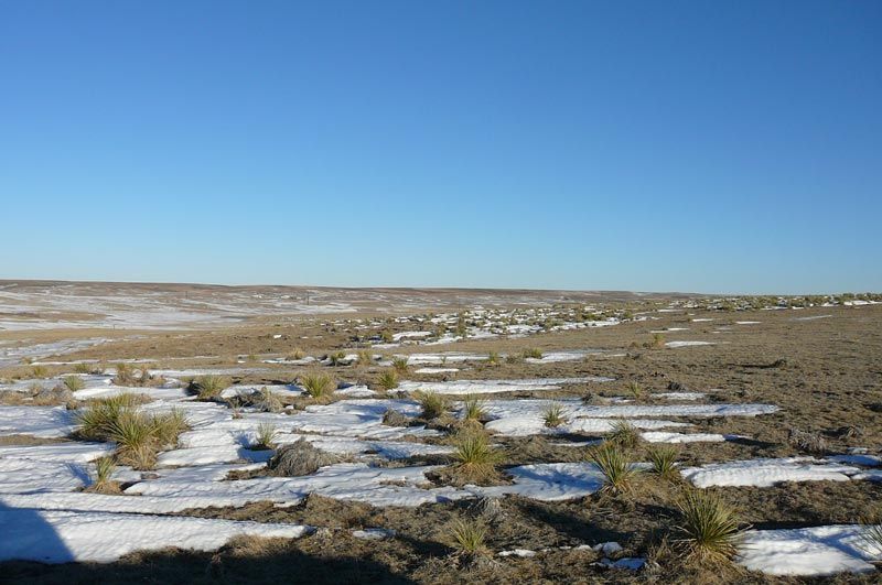 A snowy field with a blue sky in the background