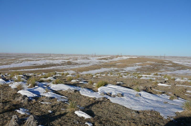 A snowy field with a blue sky in the background