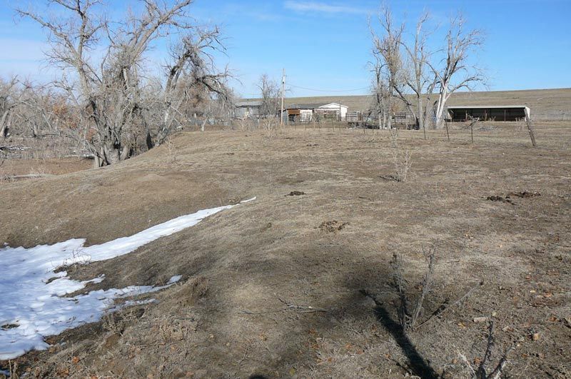 A dry grassy field with a fence and trees in the background