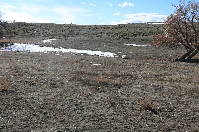 A dirt field with a tree in the middle of it