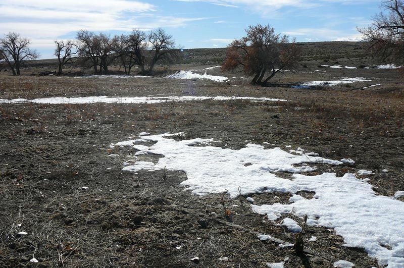 A field with snow on the ground and trees in the background