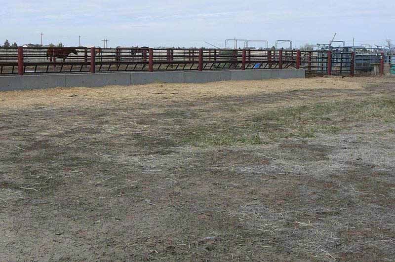 A large empty field with a fence in the background.