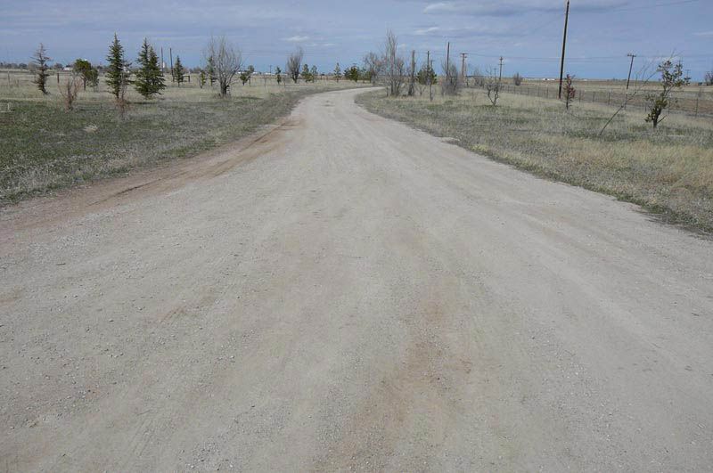 A dirt road with trees on the side of it