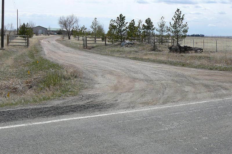 A dirt road with trees on the side of it