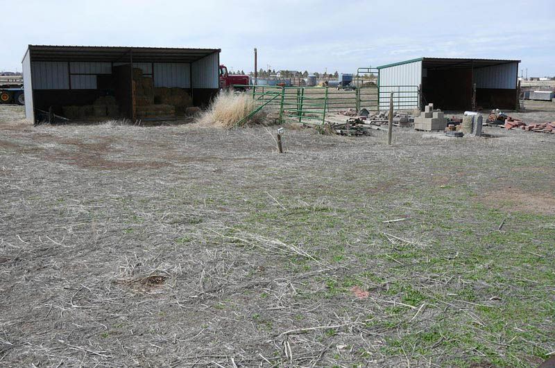 There are two sheds in the middle of a field.