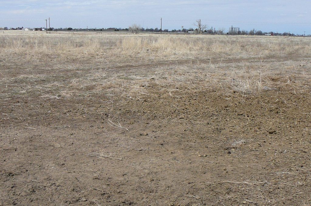 A dry field with a few trees in the distance