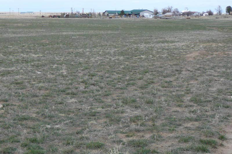 A large grassy field with a house in the background.