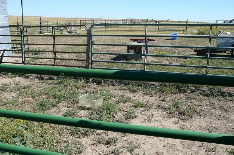 A green fence with a picnic table in the background