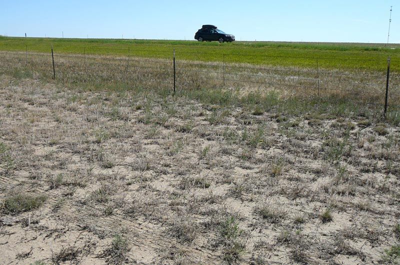 A car is driving down a dirt road in a field.