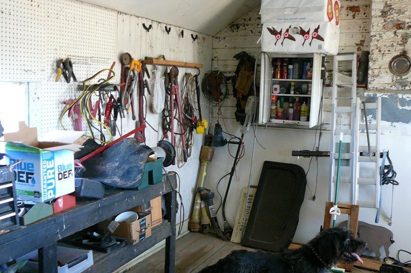 A dog is laying in a messy garage with a box of lube on the table