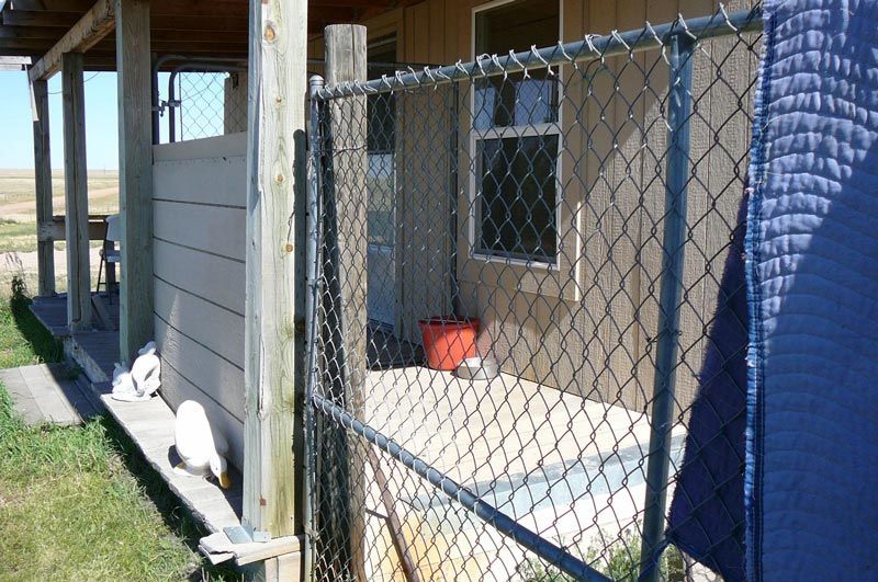 A chain link fence surrounds a porch of a house