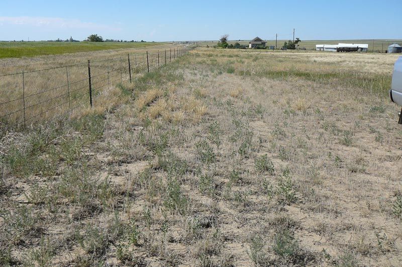 A car is parked in the middle of a field with a fence in the background.