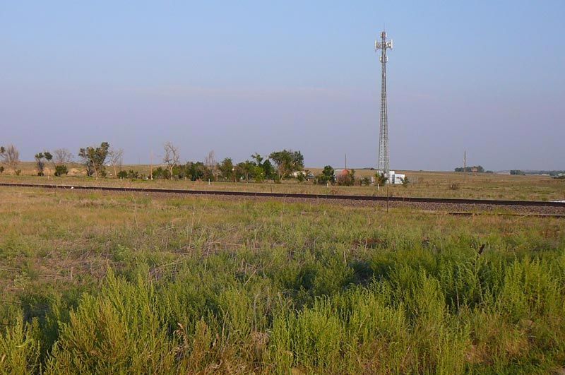 A field with a telephone pole in the middle of it