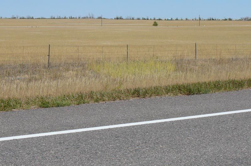 A road with a white line on it and a field in the background