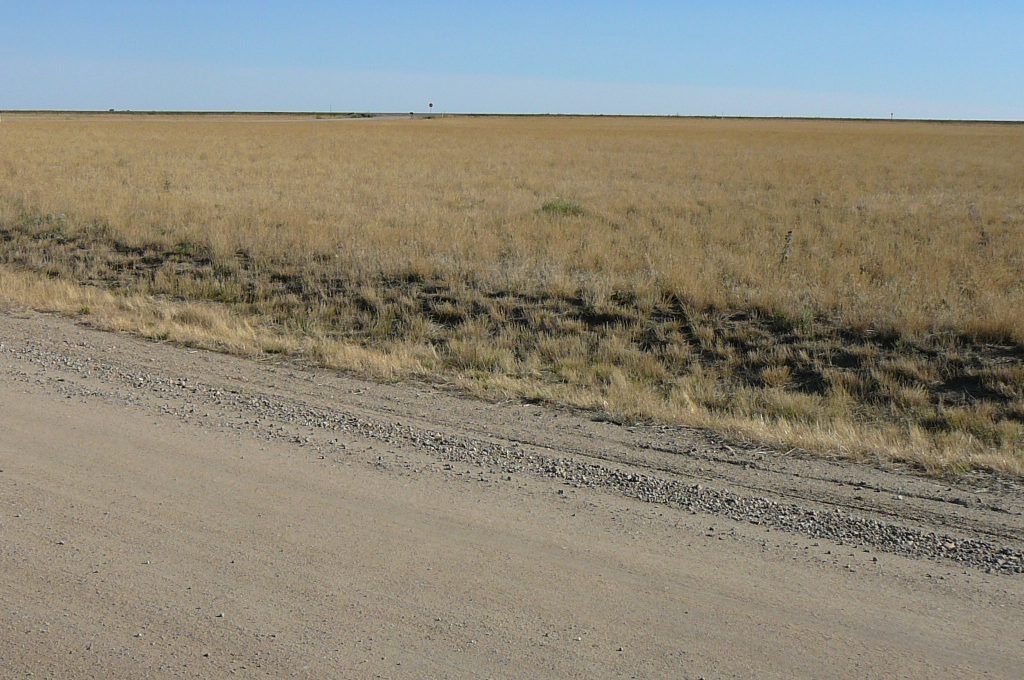 A dirt road going through a field of dry grass