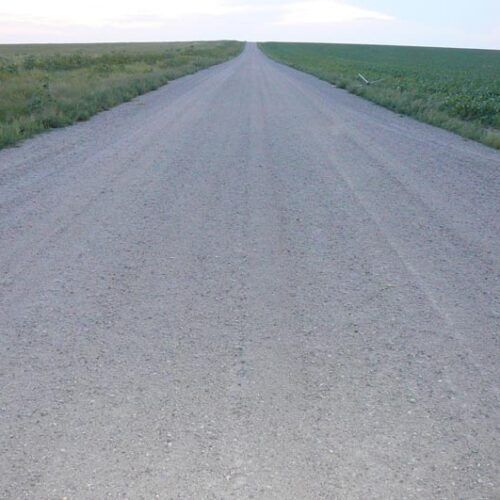 A dirt road going through a grassy field.