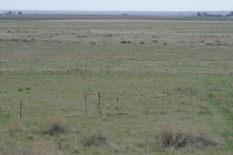 A large grassy field with a fence in the foreground and a body of water in the background.