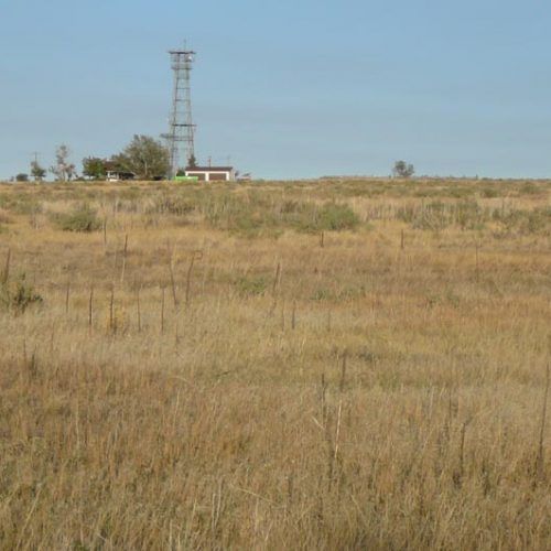 A field of dry grass with a tower in the background