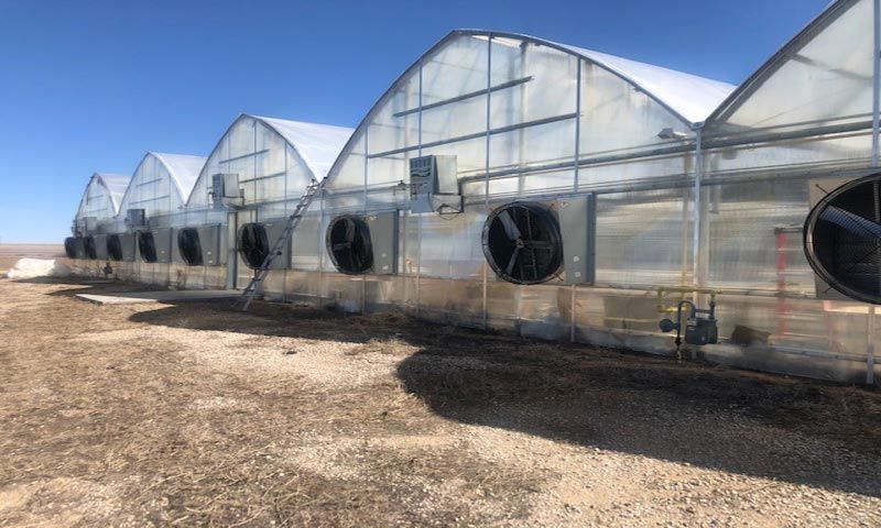 A row of greenhouses with fans on the side of them.