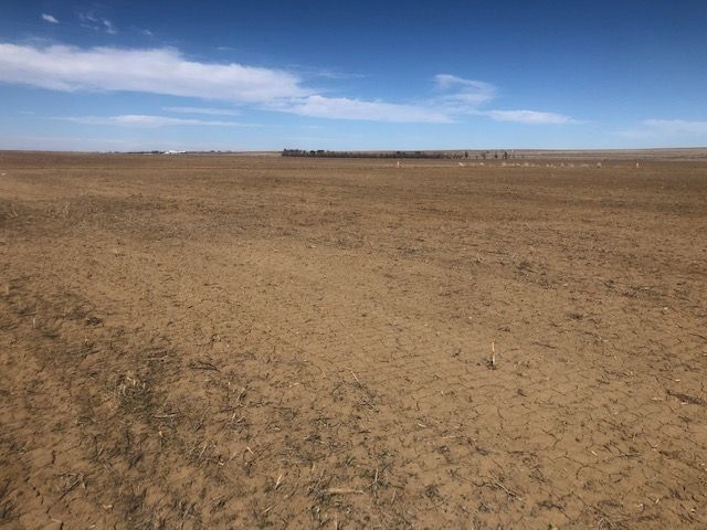 A large dry field with a blue sky in the background.